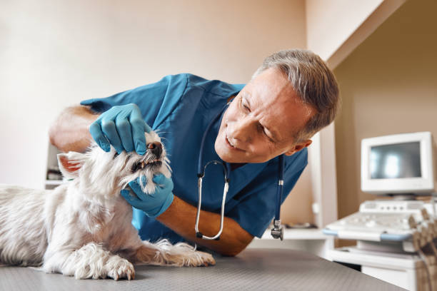 Best Emergency Dentist Near Me  in Columbiana, AL